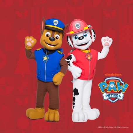 Paw Patrol PIN