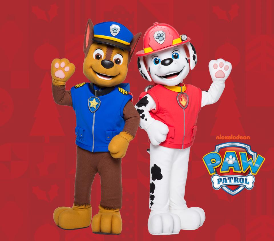 Paw Patrol PIN